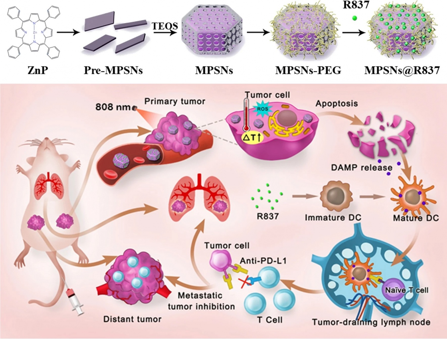 Cancer Phototherapy Integrated With Light-Triggered Nanoplatform Shows ...