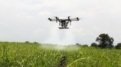  Drones Designed to Patrol 24 Hours A Day in Agricultural Fields to Deter Pest Birds