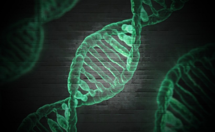  Die-Hard Fans Could Commit Celebrity DNA Theft as 'Genetic Paparazzi' Increases, Experts Warn