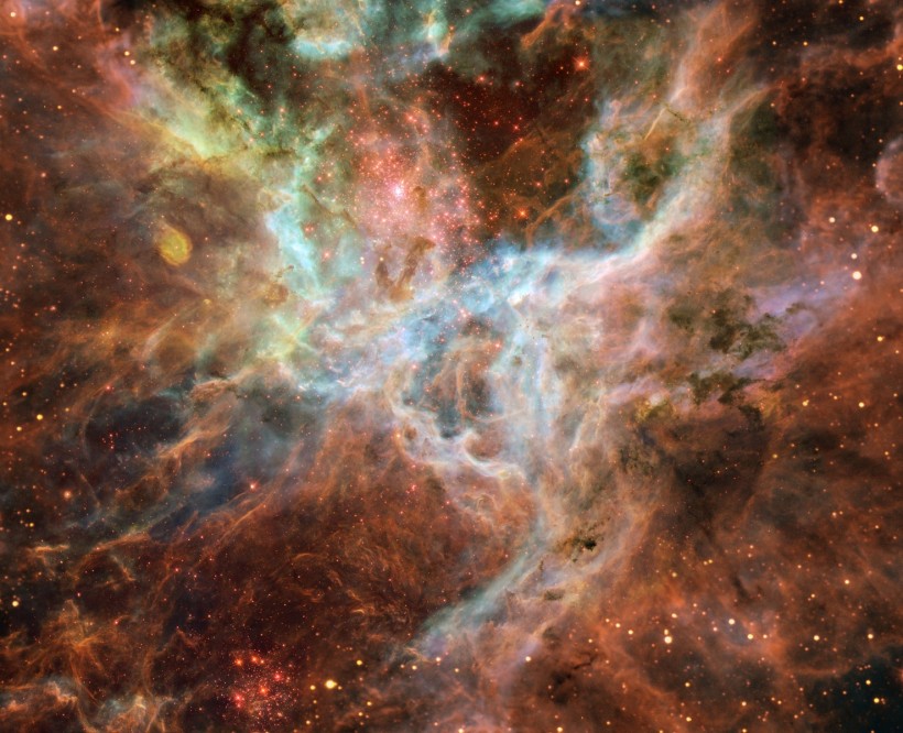 The Tarantula Nebula (30 Doradus)