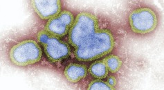  Protein That Plays Key Role in Inhibiting Flu Virus Replication Opens Possibilities for New Antivirals for Influenza