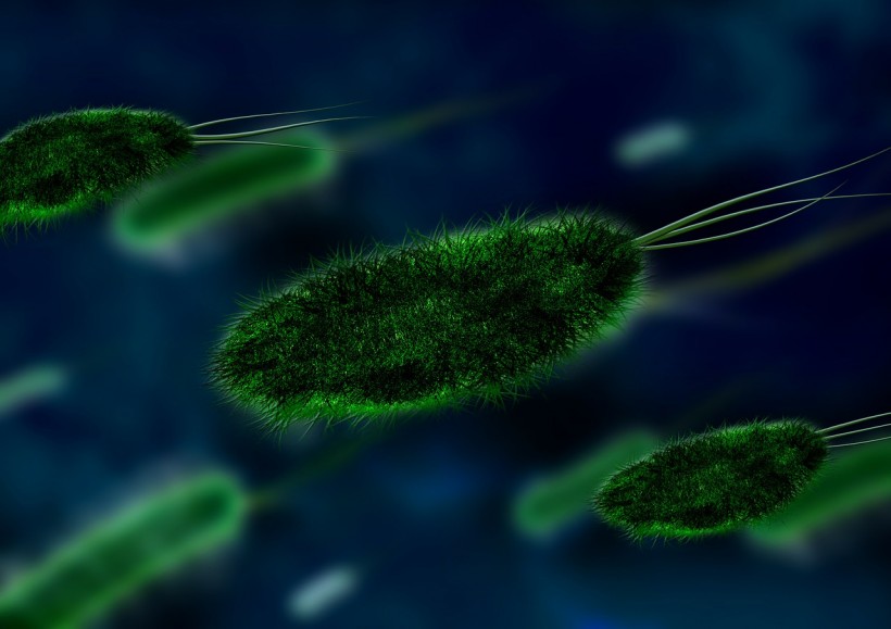  Flesh-Eating Bacteria Showing Up Earlier This Year, Infecting A Man From Louisiana 