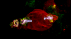 Cosmic manatee accelerates particles from head
