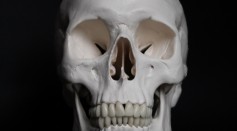White skull on black surface