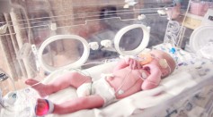 Baby lying in incubator
