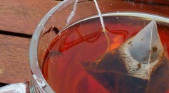  Over 400 Different Insect Species Is in a Single Tea Bag, DNA Analysis Reveal