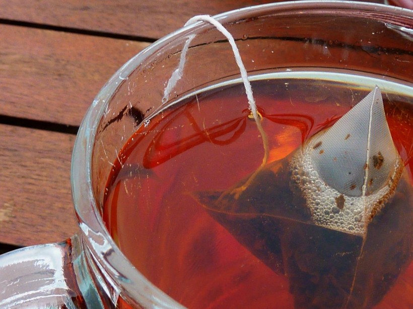  Over 400 Different Insect Species Is in a Single Tea Bag, DNA Analysis Reveal