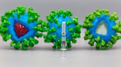  New Way of Developing COVID-19 Vaccine Makes it Effective Against All Variants Using Modified DNA From Bacteria