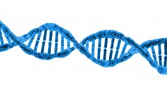 DNA Biology