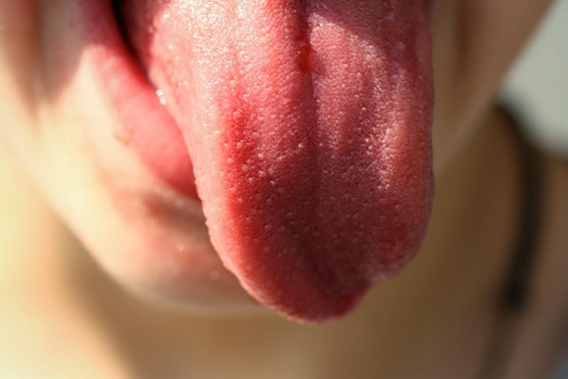  How Does the Tongue Help Blind People See? Researchers Investigate One of the Most Sensitive Organs in the Body