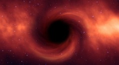 Black Hole Galaxy