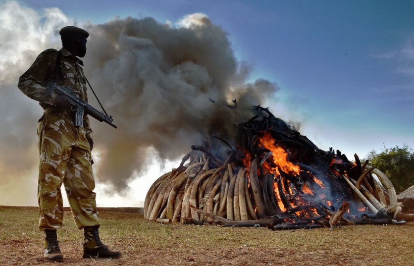 TOPSHOT-KENYA-WILDLIFE-CONSERVATION-IVORY-BURN