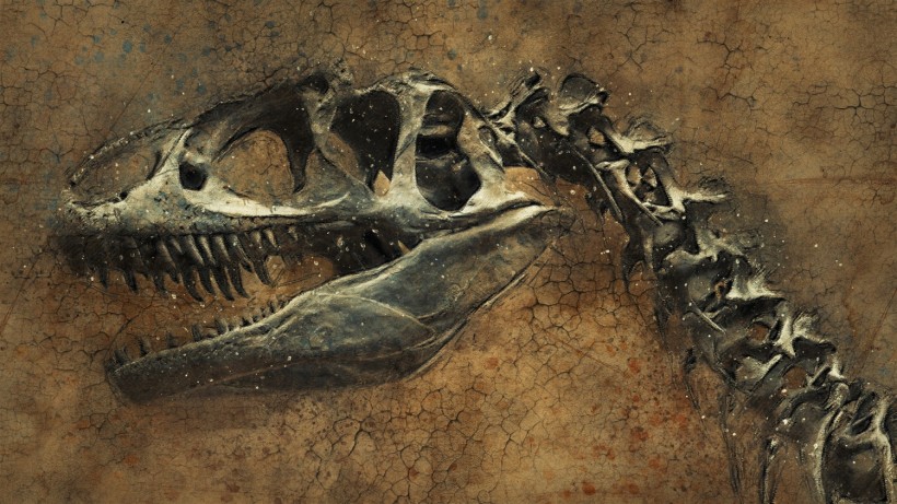 Dinosaur Skeleton Background