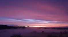 Dawn Fog
