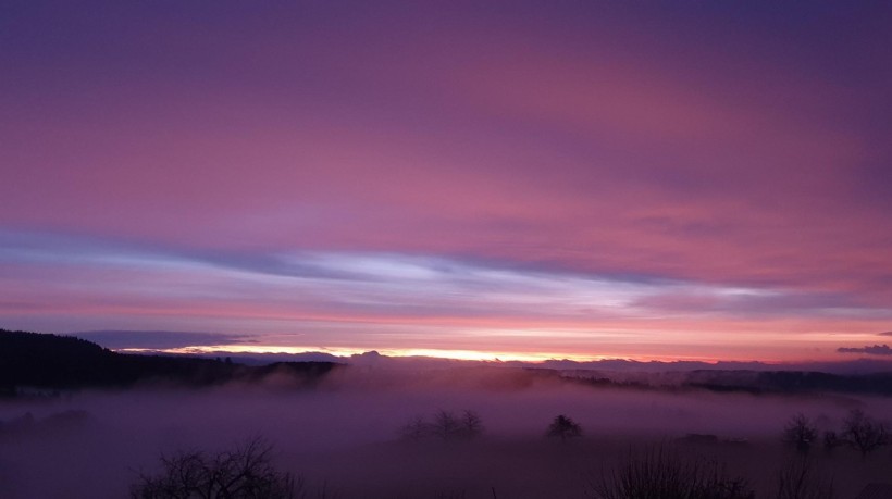 Dawn Fog