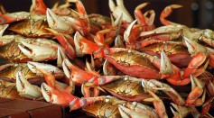  Sustainable, Biodegradable Battery Made From Crab Shells Might Be the Future