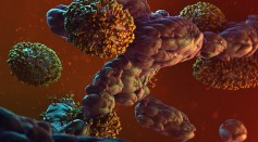 Electronic microscopy art of monkeypox virus attacking cells - stock photo