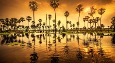 Water Lake Trees Palms Travel