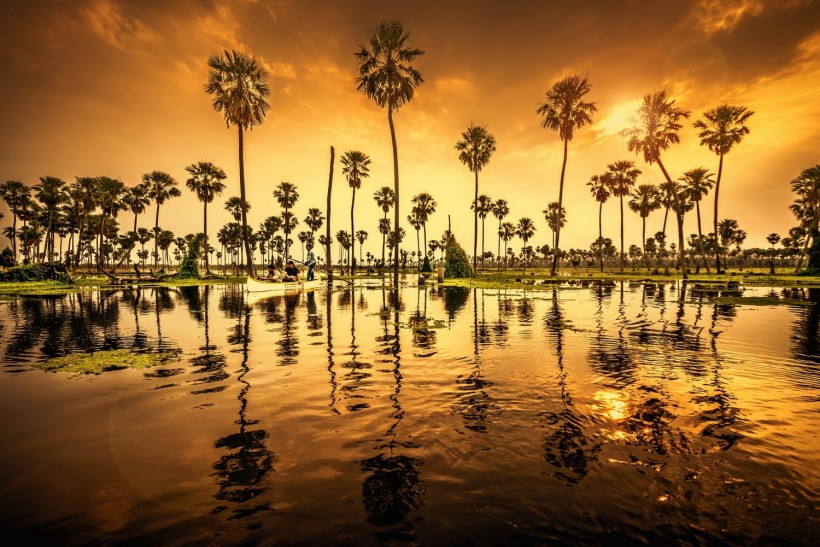 Water Lake Trees Palms Travel