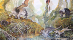Illustration of Papua New Guinea's megafauna 