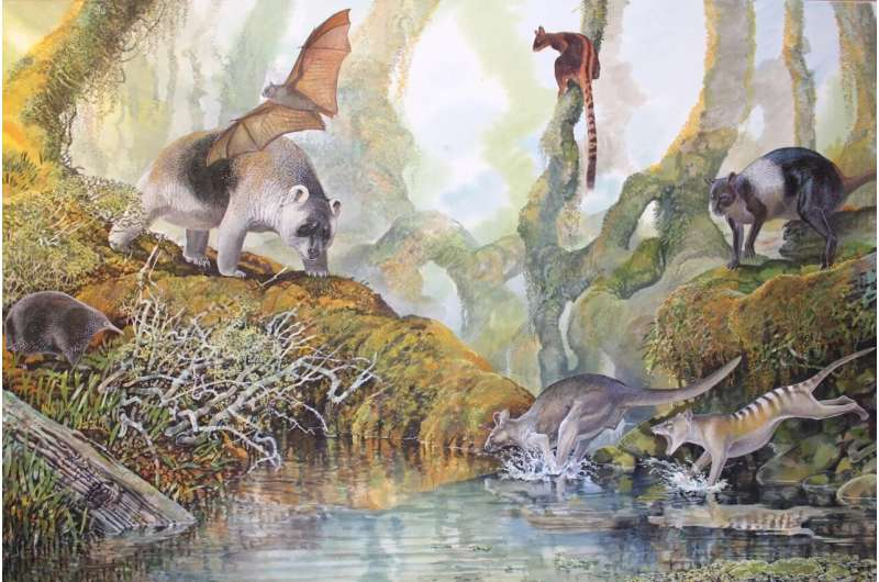 Illustration of Papua New Guinea's megafauna 