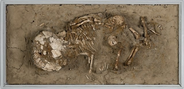 Children’s Skeletons Unearthed