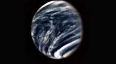  Life in Venus's Clouds Found? Substance From Living Organisms May Indicate Life on Hottest Planet