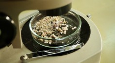 Microscope Petri Dish Experiment 