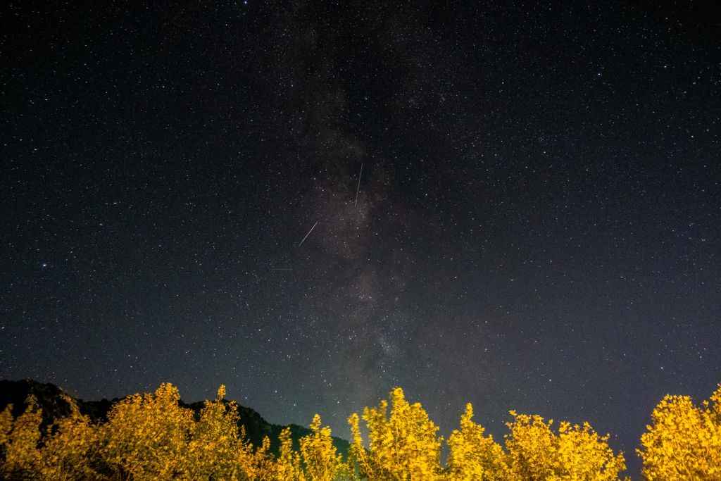 2022 Orionid Meteor Shower Will Peak During The Predawn Hours On Friday ...