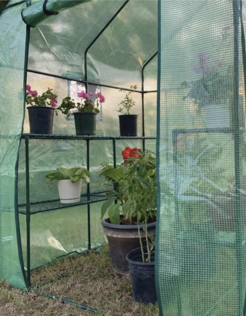 Hydroponic Garden