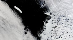  Satellite Spots World's Largest Iceberg Twice the Size of London Floating off Towards Warmer Seas of the Equator