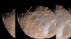 A new study has revealed that the weird parallel grooves on the surface of Mars' largest moon Phobos could be a sign that the Red Planet's gravity is ripping the satellite apart.