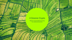 Bitgreen-green-crypto 