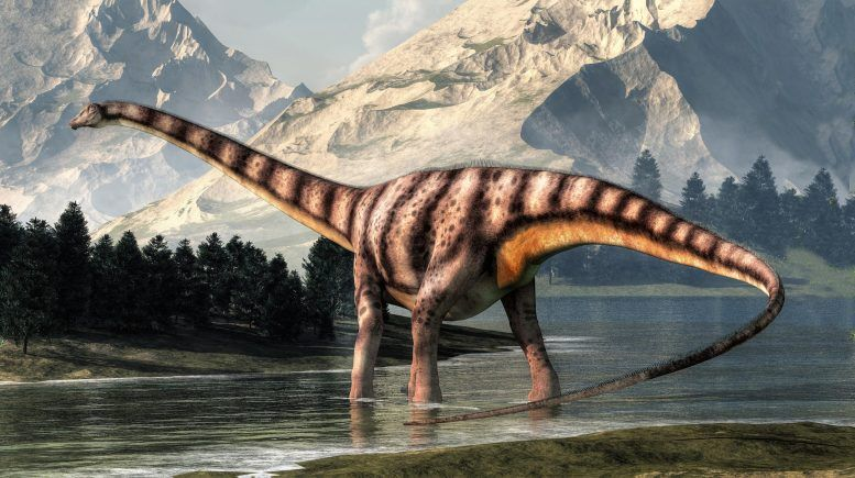 Diplodocus was a genus of diplodocid sauropod dinosaurs, whose fossils were first discovered in 1877 by S. W. Williston.
