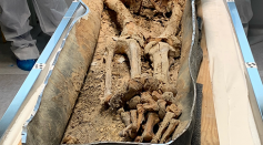 Opening of the sarcophagi at the Toulouse forensic medicine laboratory