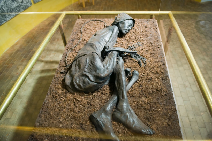 The preserved body of the Tollund Man on display at the Silkeborg Museum in Silkeborg, Denmark. 