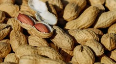  Food Allergy: Here's How One Research Could Help Improve Tolerance of an Allergen