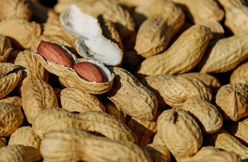  Food Allergy: Here's How One Research Could Help Improve Tolerance of an Allergen