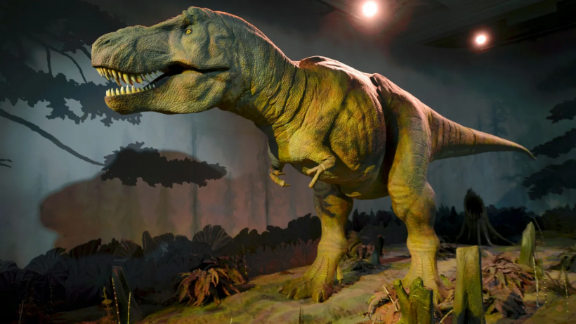T. rex's tiny arms may have been used for lifting itself off the ground 