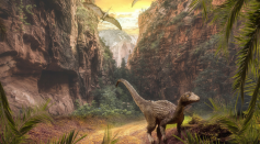 Ecological changes following intense volcanic activity during the Carnian Pluvial Episode 230 million years ago paved the way for dinosaurs to become the dominant terrestrial fauna.