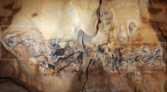 The Grand Panneau of the Salle du Fond at Chauvet Cave, with repeated sequences shown in boxes. 