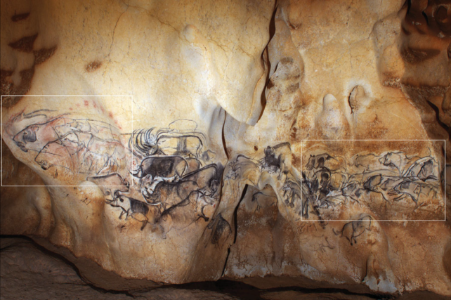 The Grand Panneau of the Salle du Fond at Chauvet Cave, with repeated sequences shown in boxes. 