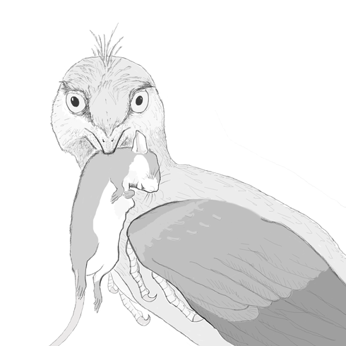 Another illustration of Microraptor with its prey.