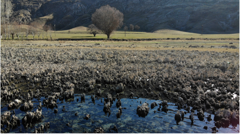 A view of microbialites in Lake Van that emerged from the bottom due to the decline in water levels, in Van, eastern Türkiye, 