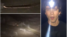 Left: stills from the TikTok video showing the smalltooth sawfish. Right: Daniel Nuzum after catching his first ever fish.