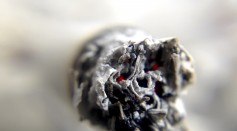  Smoking Linked to Cognitive Decline as More Middle-Aged Smokers Report Having Memory Loss, Confusion