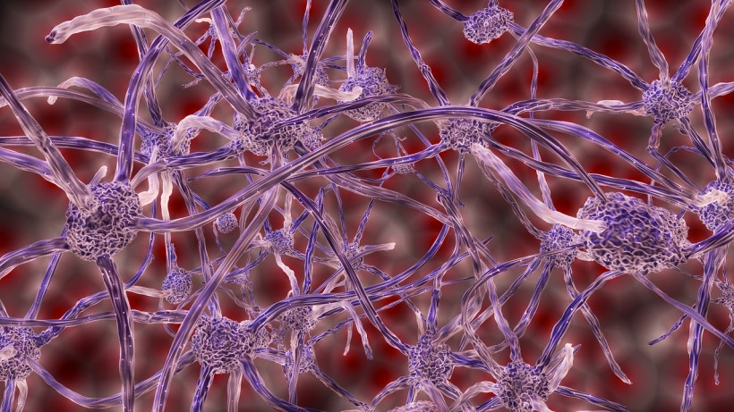 Novel Artificial Organic Neuron Effectively Mimic Natural Nerve Cells, Making It a Promising Technology for Medical Treatments