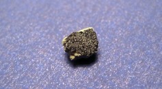  Martian Meteorite That Crashed on Earth Contains Organic Compounds That May Give New Insights About the Red Planet