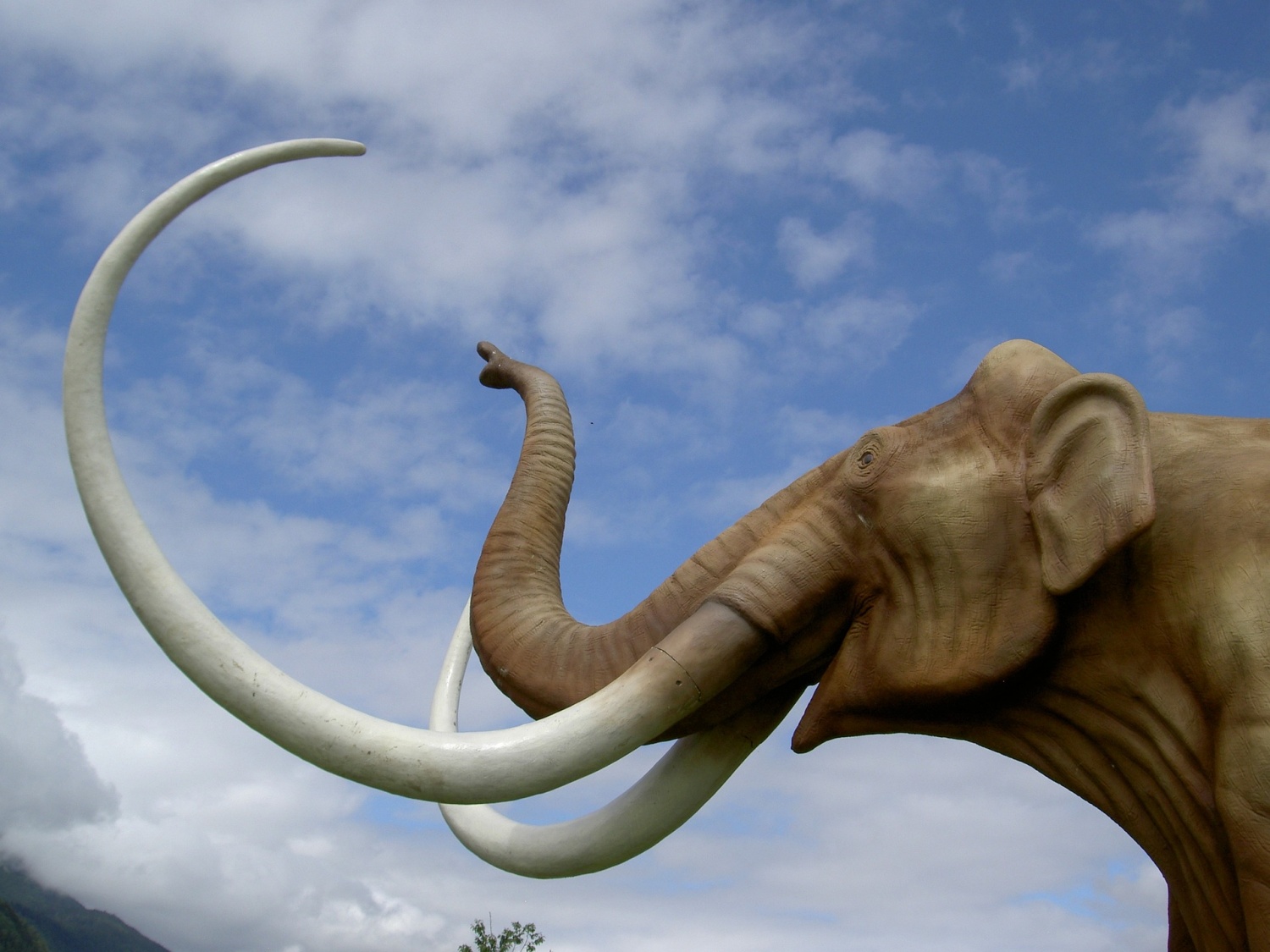 When Did Mammoth Extinction Take Place? The Answer Is More Complicated