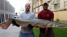 7-Foot Prehistoric Alligator Gar Caught in Alabama, Breaks Previous State Record [See Photo]